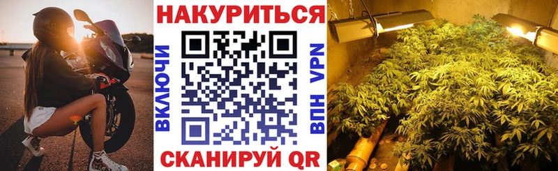 Цена Суздаль Галлюциногенные грибы COCAIN МЕФ Марихуана