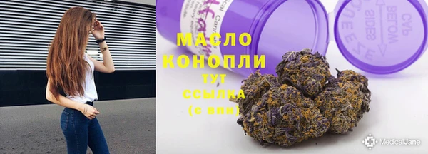 гидропоника Новозыбков
