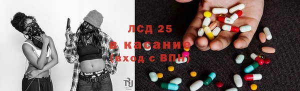 гидропоника Новозыбков