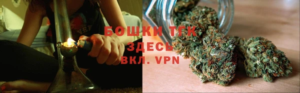 гидропоника Новозыбков