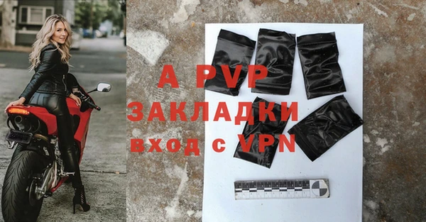 спиды Новодвинск