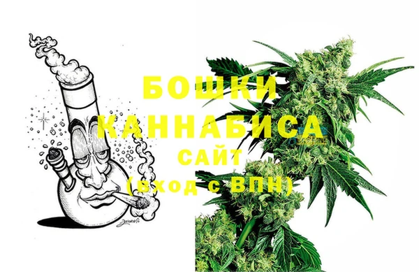 гидропоника Новозыбков