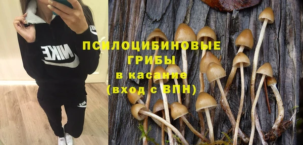 спиды Новодвинск