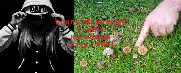 мяу мяу кристалл Новокубанск