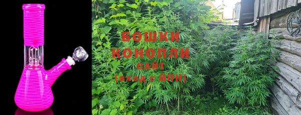 спиды Новодвинск