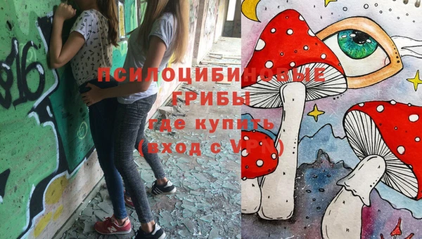 спиды Новодвинск