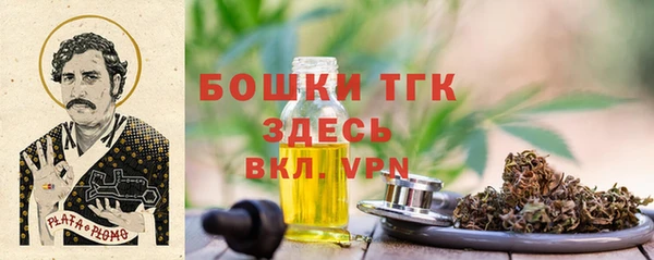 спиды Новодвинск