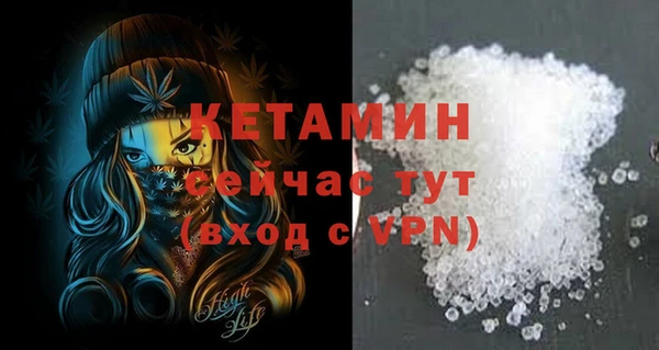 спиды Новодвинск